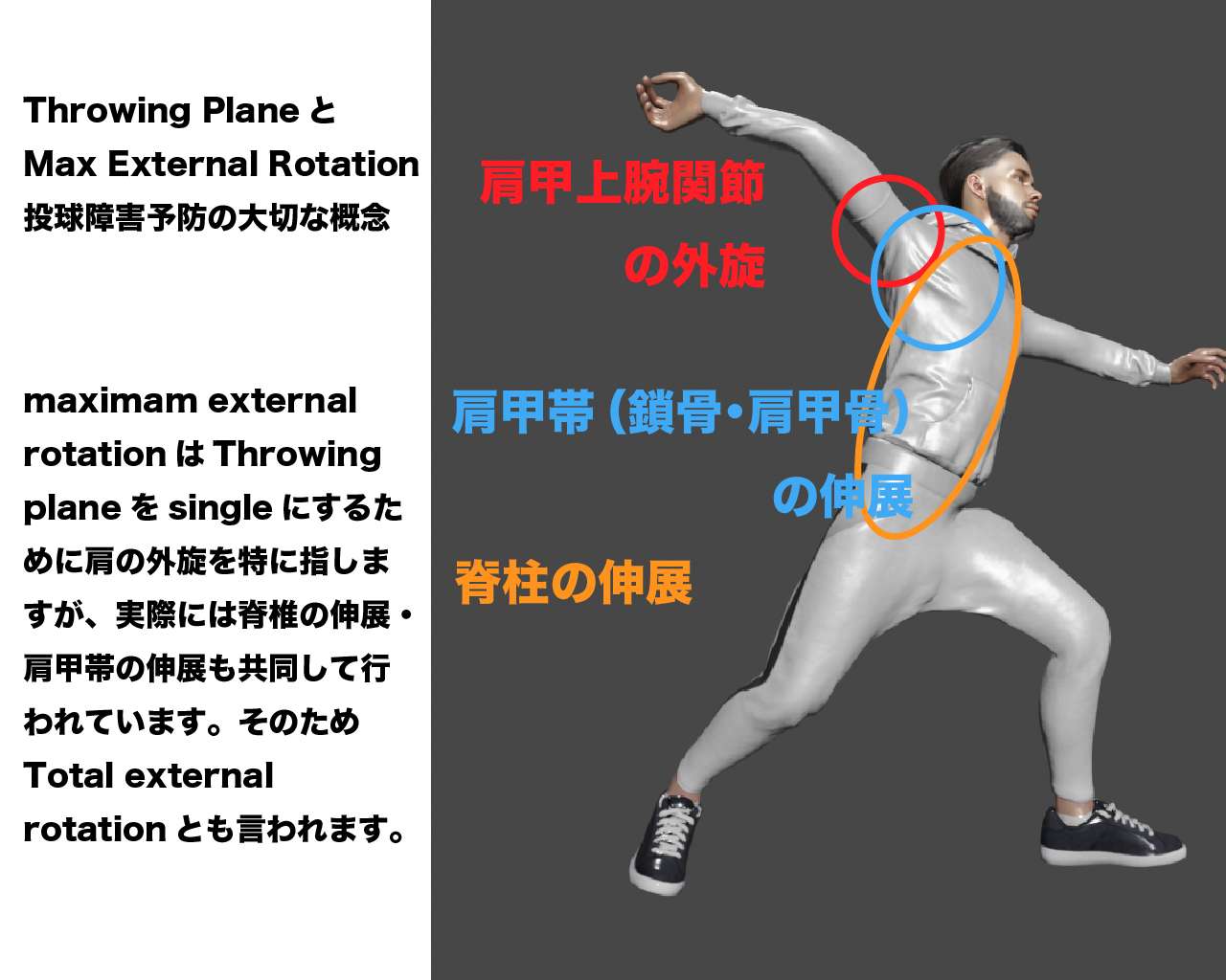 肘関節内側障害について | ブログ | 与野駅より徒歩5分、さいたま新